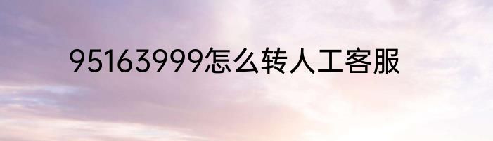 95163999怎么转人工客服