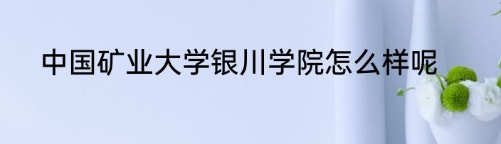 中国矿业大学银川学院怎么样呢