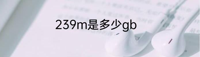 239m是多少gb