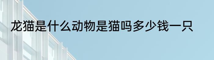 龙猫是什么动物是猫吗多少钱一只