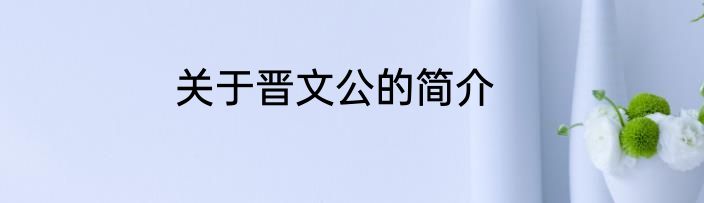 关于晋文公的简介