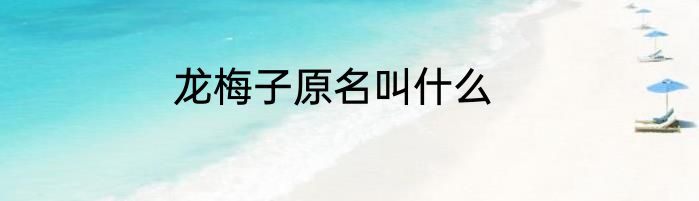 龙梅子原名叫什么