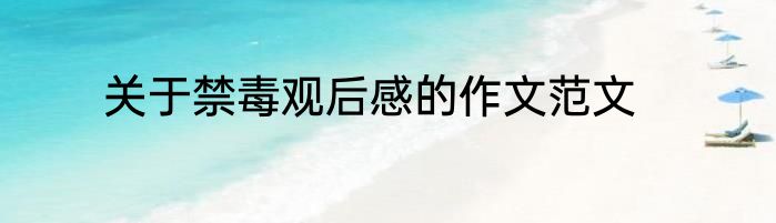 关于禁毒观后感的作文范文