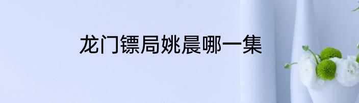 龙门镖局姚晨哪一集