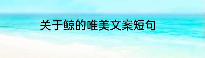 关于鲸的唯美文案短句