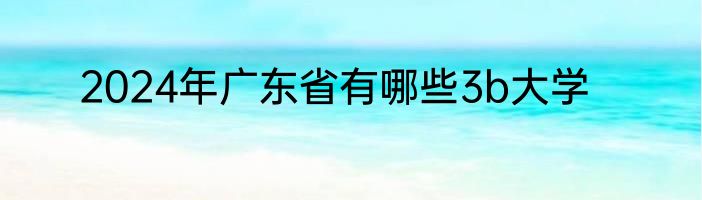2024年广东省有哪些3b大学