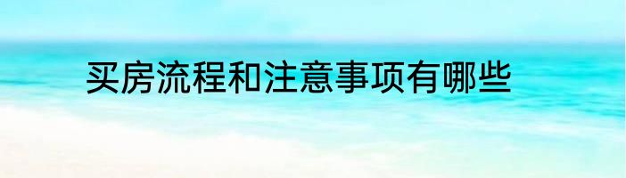 买房流程和注意事项有哪些