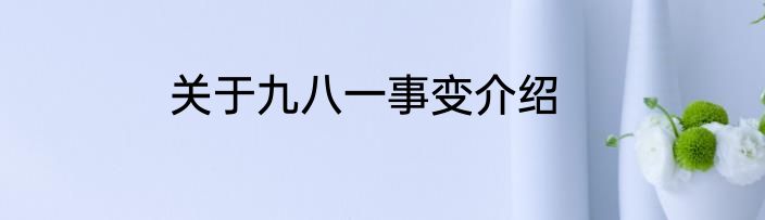 关于九八一事变介绍