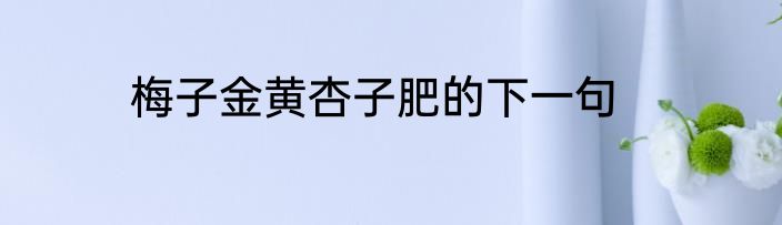 梅子金黄杏子肥的下一句
