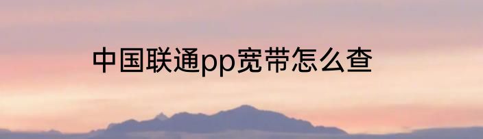 中国联通pp宽带怎么查