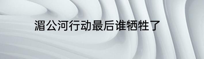 湄公河行动最后谁牺牲了