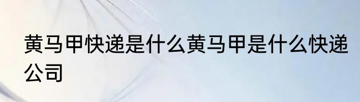 黄马甲快递是什么黄马甲是什么快递公司