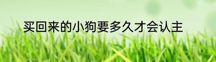 买回来的小狗要多久才会认主