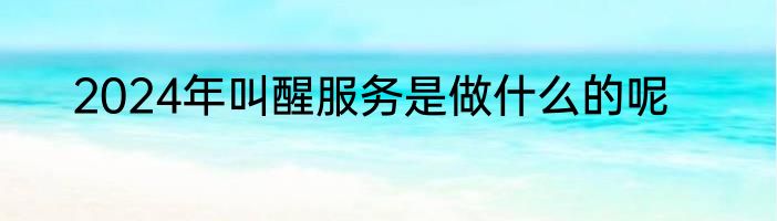 2024年叫醒服务是做什么的呢