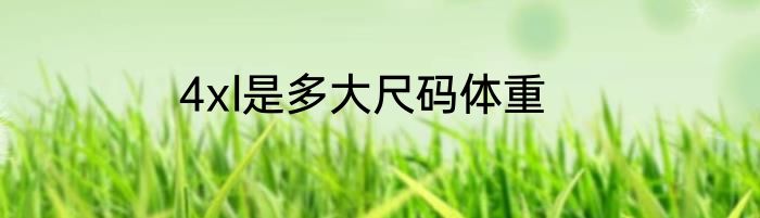 4xl是多大尺码体重
