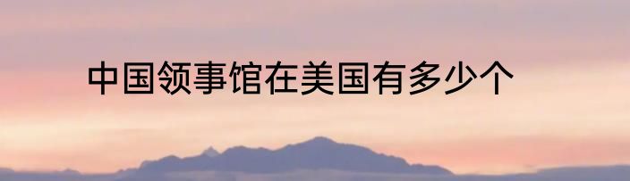 中国领事馆在美国有多少个