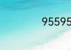 95595是什么银行