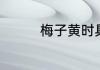 梅子黄时具体指哪个月份
