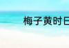 梅子黄时日日晴全诗的意思