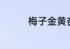 梅子金黄杏子肥的下一句
