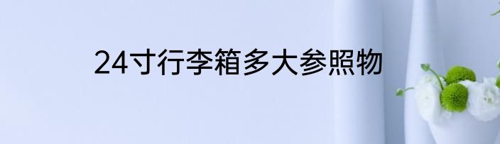 24寸行李箱多大参照物