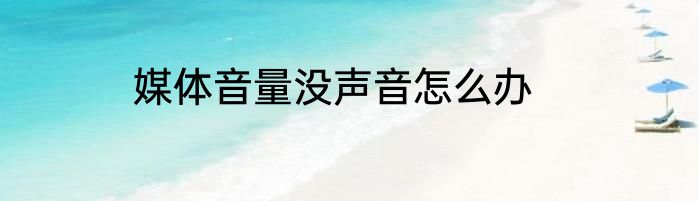 媒体音量没声音怎么办