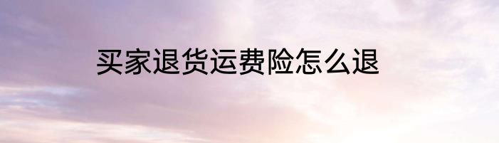 买家退货运费险怎么退