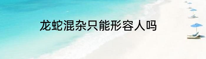 龙蛇混杂只能形容人吗