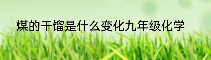 煤的干馏是什么变化九年级化学