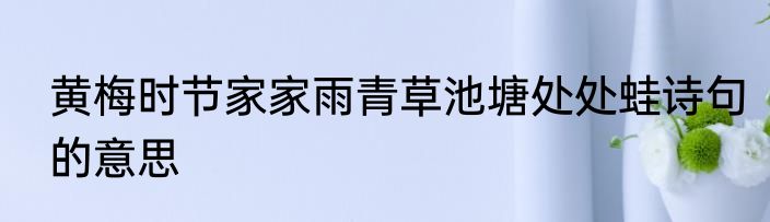 黄梅时节家家雨青草池塘处处蛙诗句的意思