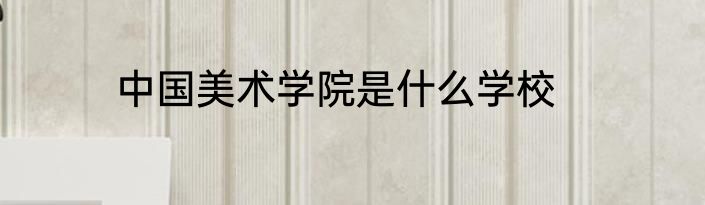 中国美术学院是什么学校