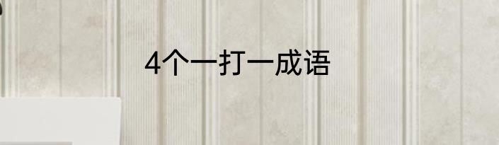 4个一打一成语