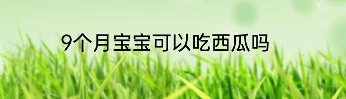 9个月宝宝可以吃西瓜吗