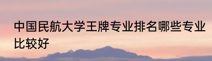 中国民航大学王牌专业排名哪些专业比较好