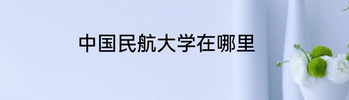 中国民航大学在哪里