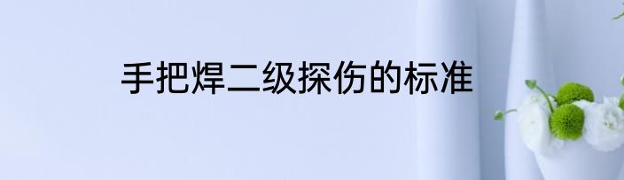 手把焊二级探伤的标准