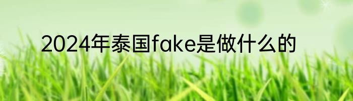 2024年泰国fake是做什么的