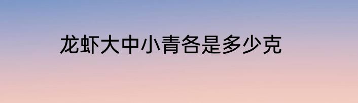 龙虾大中小青各是多少克