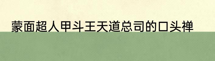 蒙面超人甲斗王天道总司的口头禅