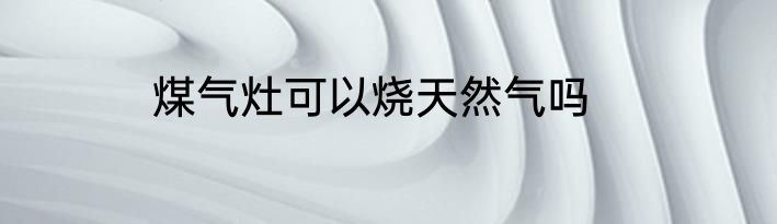 煤气灶可以烧天然气吗