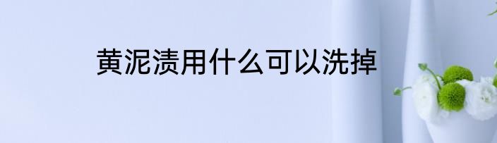 黄泥渍用什么可以洗掉