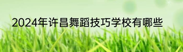 2024年许昌舞蹈技巧学校有哪些
