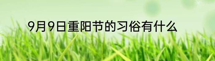 9月9日重阳节的习俗有什么
