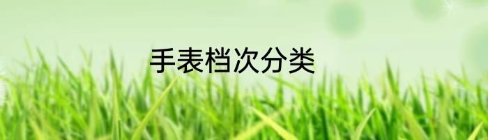 手表档次分类