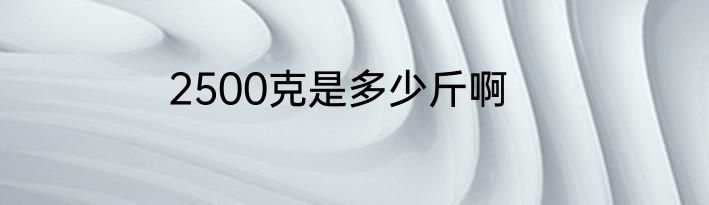2500克是多少斤啊