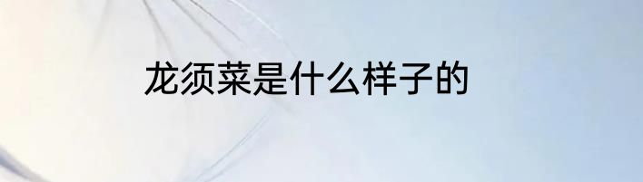 龙须菜是什么样子的