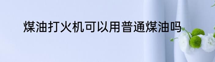 煤油打火机可以用普通煤油吗