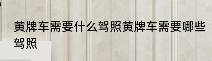 黄牌车需要什么驾照黄牌车需要哪些驾照