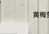 黄梅莹个人资料