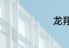 龙翔是国企吗